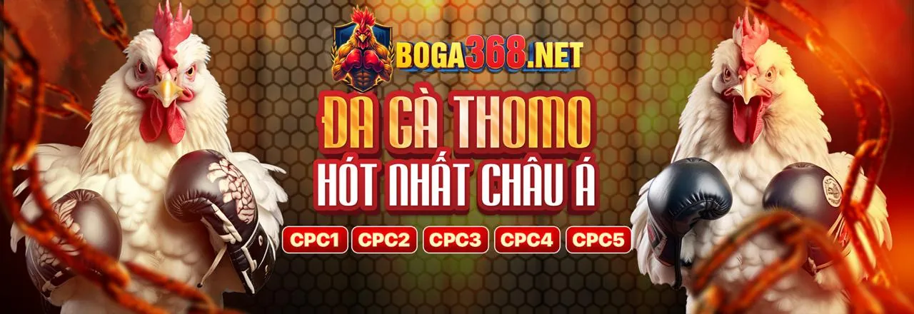 Tổng quan các chương trình khuyến mãi ae666 App 2026